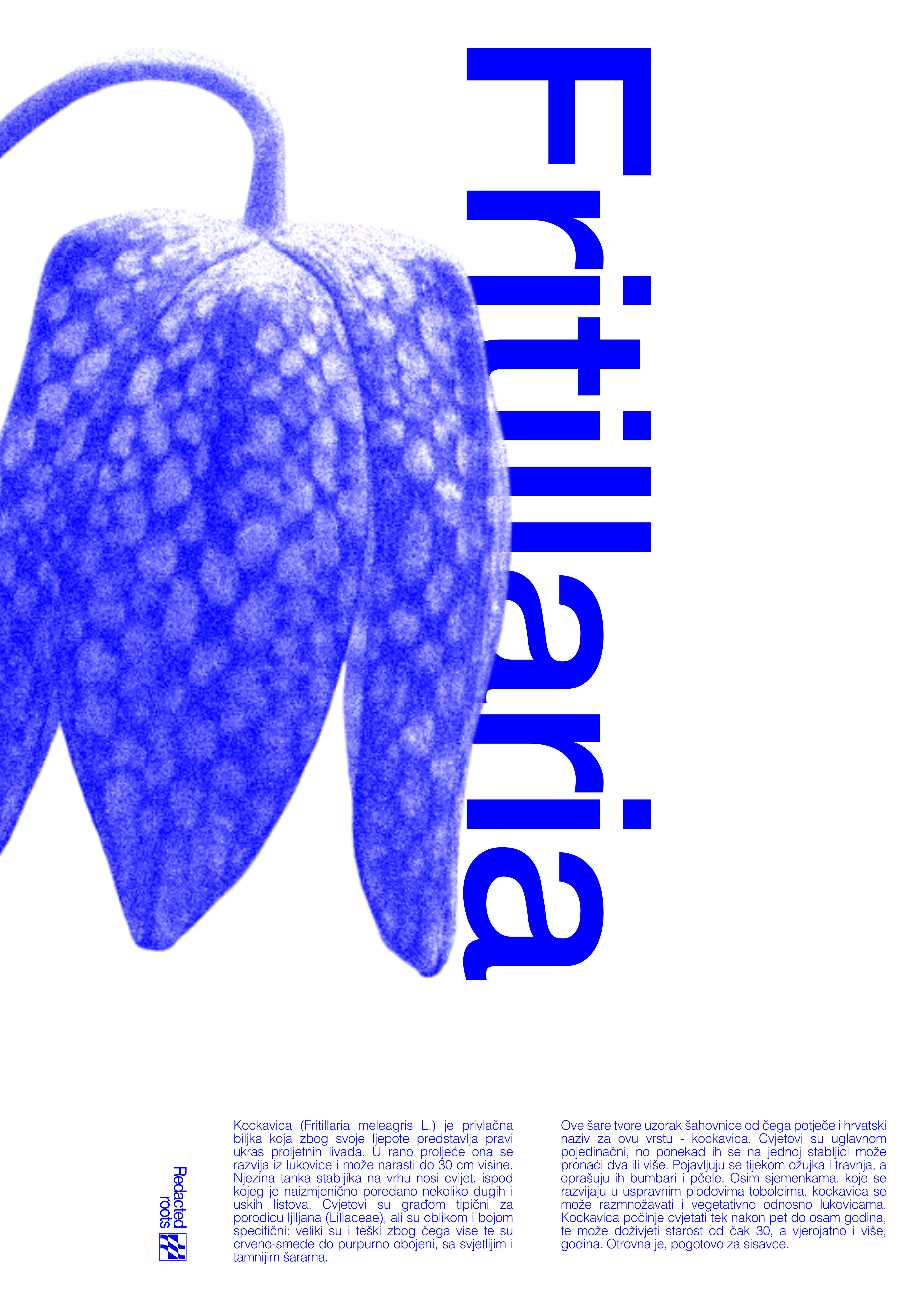 Konceptualan plakat Fritillaria